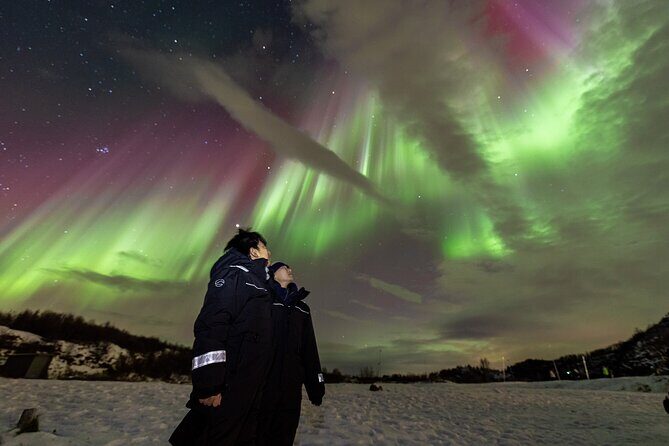 Northern Lights Minibus with Photos Dinner Warm suits - Private tour on a minibus: who it suits best