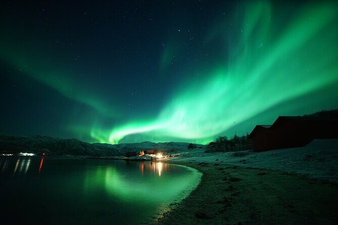Northern lights photography tour - Tromsø After Dark: What This Aurora Hunt Feels Like
