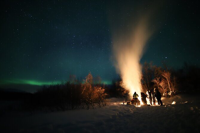 Northern lights photography tour - What to Expect When the Sky Cooperates (and When It Doesn’t)