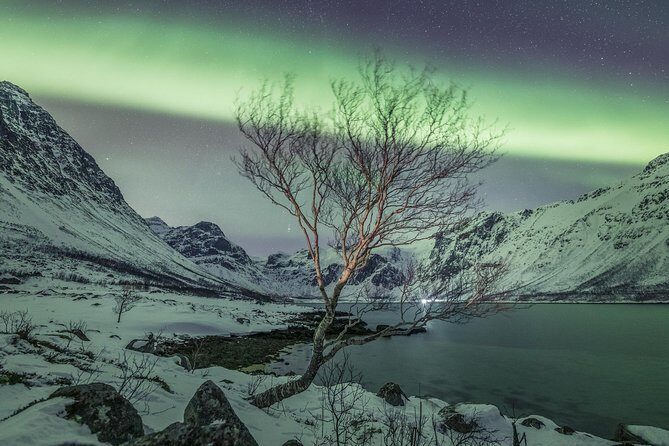 Northern Lights Private tour with your special ones - Greenlander - A Private Northern Lights Chase That Feels Like a Mission