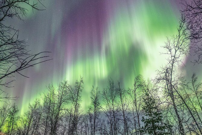Northern Lights Private tour with your special ones - Greenlander - Meeting Guides on the Ground: Samuel, Peter, and Markus