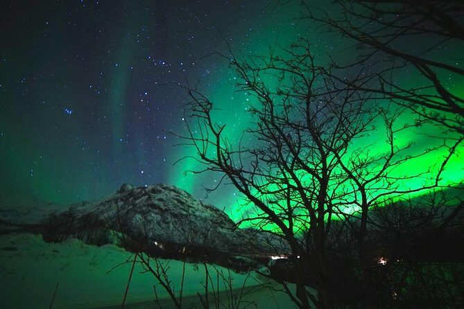 Northern lights - TeslaX Ecofriendly Car - Price and value in Tromsø: what $192.75 buys (and what it doesn’t)