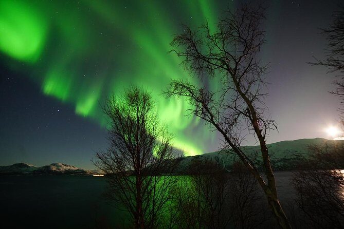 Northern lights - TeslaX Ecofriendly Car - Weather reality check: the biggest swing factor