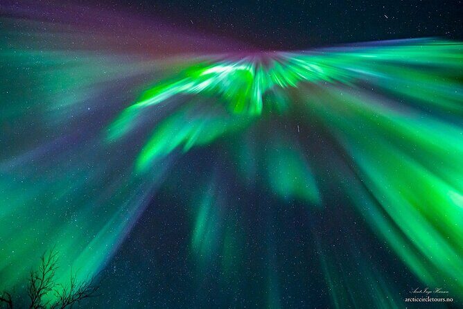 Northern Lights Tour, Photo, Toilet, Meal, Skycam in Mbus - Tromsø to Finland: why the ride is part of the aurora plan
