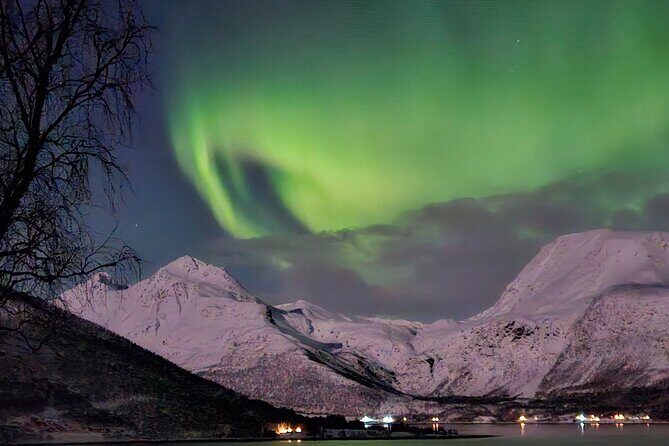 Northern Lights Tour, Tromso, Local Guide, Private Basecamp - Starting Point at Magic Ice Bar: Easy In, Easy Out