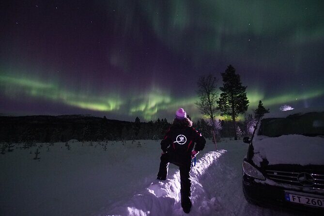 Northern Lights tour with Alta Adventure - Alta at 8 pm: what makes this aurora hunt different