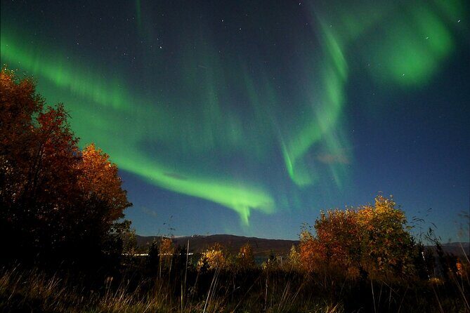 Northern Lights tour with Alta Adventure - Guides and the real “skill” behind aurora hunting