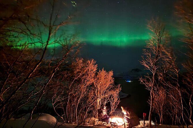 Northern Lights Tour with Hot Food and Drinks in Tromso - Small group size and guide style: your night can change fast
