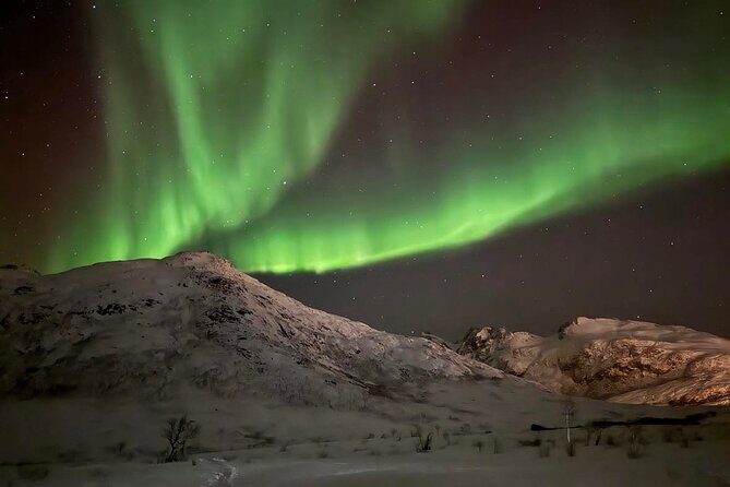 Northern Lights Tour with Hot Food and Drinks in Tromso - What’s included (and what to double-check before you go)
