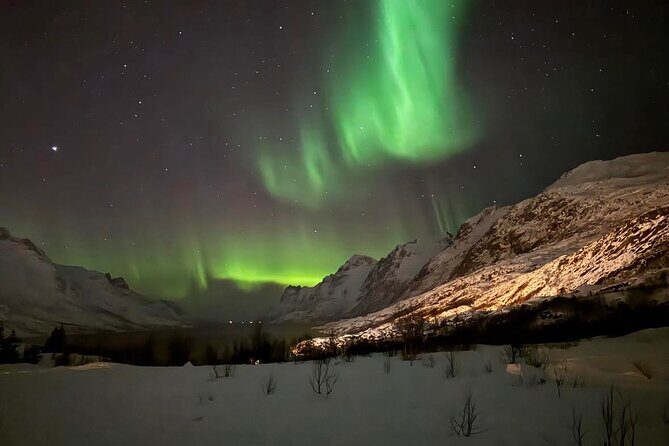 Northern Lights Tour with Hot Food and Drinks in Tromso - Thermal suits and what cold weather items you still need