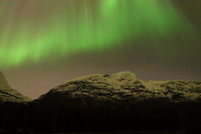 Northern Lights Tour with Local Guide and Photos - Group size, timing, and the real flow of the night