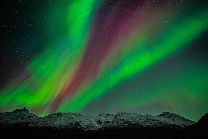 Northern Lights Tour with small group of 8 people - Key things I’d bank on before you go