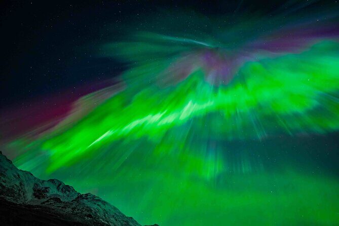 Northern Lights Tour with small group of 8 people - Who this Northern Lights tour is best for