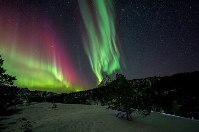 Northern Lights Tours Bodo Norway - What the 6–8 Hour Safari Feels Like In Real Life