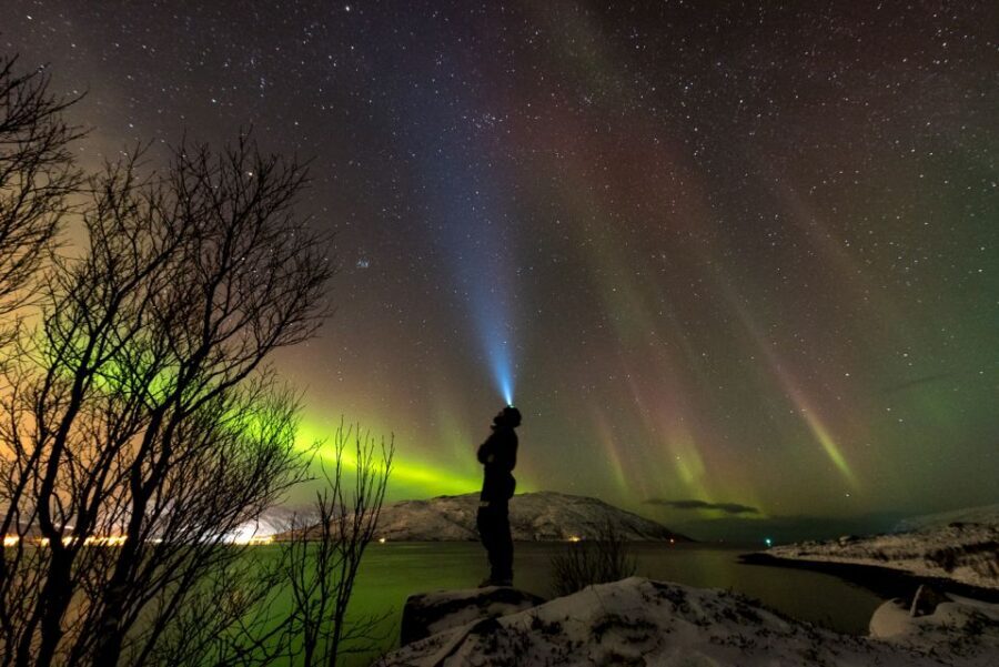 Northern lights Tromsø - small group tour with local guide - Key Things to Know Before You Go