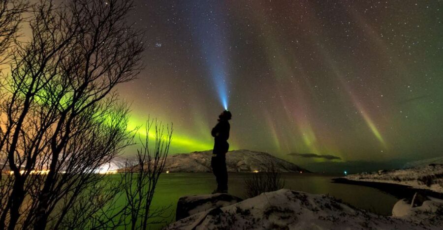 Northern lights Tromsø - small group tour with local guide - Photos Within 48 Hours: What That Adds to the Value