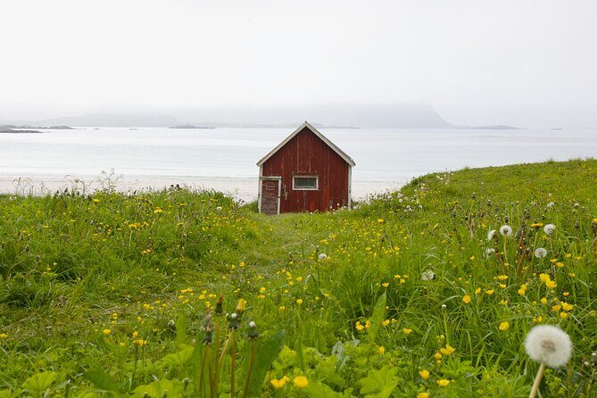 Norway Lofoten Private Shore Excursion from Leknes - Key highlights worth your attention