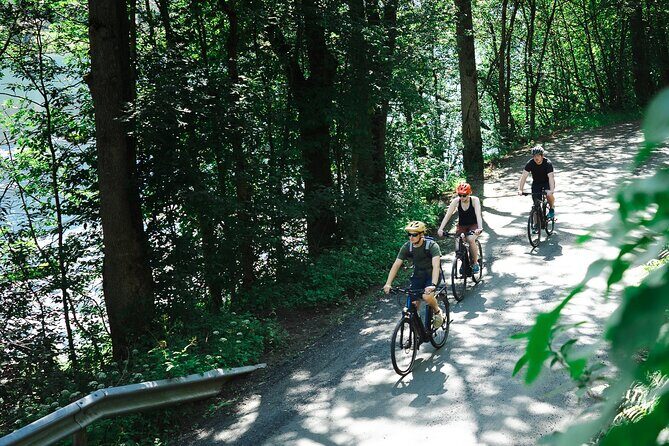 Olden: Fjord e-bike tour - The Guide Makes It: Stories From Ben and Local Life in Olden