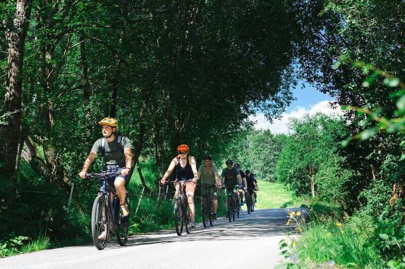 Olden: Guided e-bike tour - E-bikes in Olden: easy learning, steady comfort