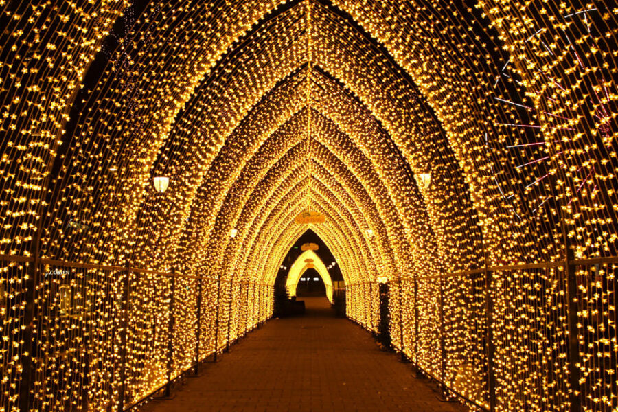 Oslo: 2-hour Christmas Private Walking Tour - Entering the holiday mood at the Nobel Peace Center