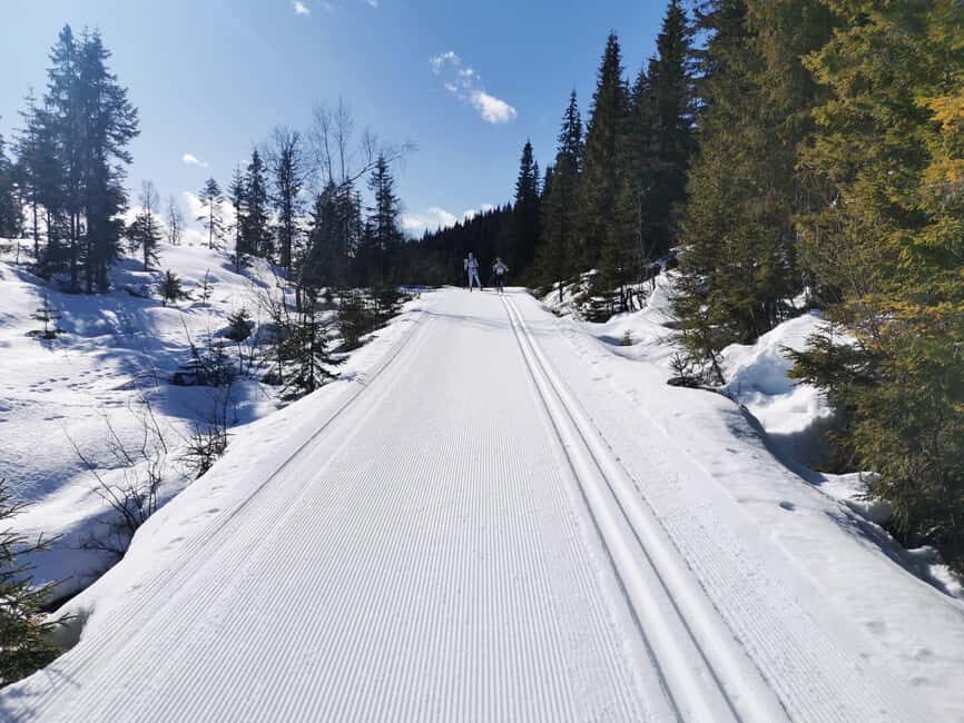 Oslo: 3-hour Cross Country trip with equipment and guide - Oslomarka for real: prepared trails and self-made forest tracks