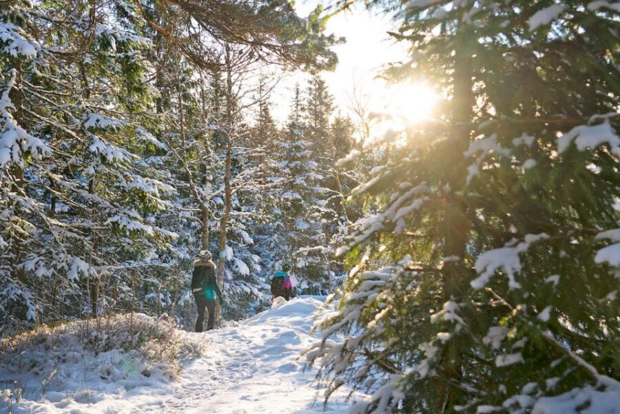 Oslo: Best View of the Oslofjord Winter Edition - FAQ