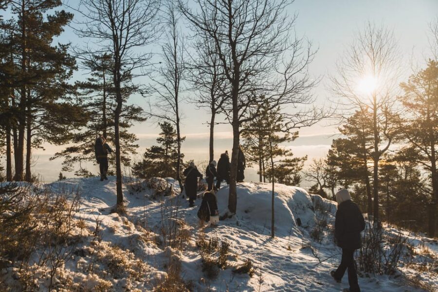 Oslo: Best View of the Oslofjord Winter Edition - The snowy forest hike: spikes, poles, and small stops that keep it fun