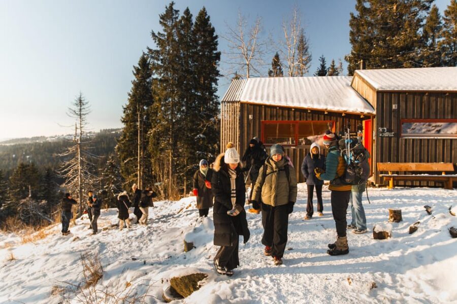 Oslo: Best View of the Oslofjord Winter Edition - The Fuglemyrhytta cabin stop: culture plus a place to catch your breath