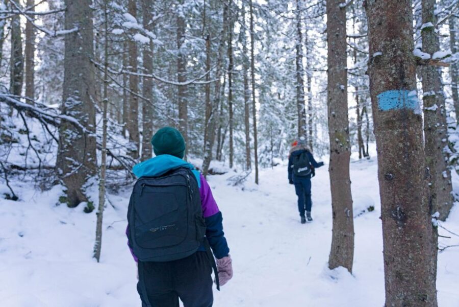 Oslo: Best View of the Oslofjord Winter Edition - Pace, group feel, and gear you’ll actually need