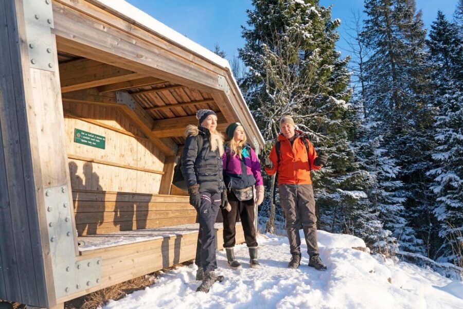 Oslo: Best View of the Oslofjord Winter Edition - Should you book the Oslo: Best View of the Oslofjord Winter Edition?