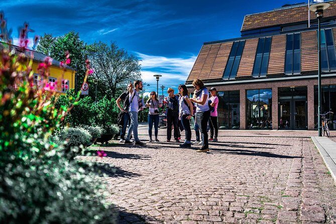 Oslo City Private Walking Tour - Karl Johans Gate: the main spine for shopping and strolling