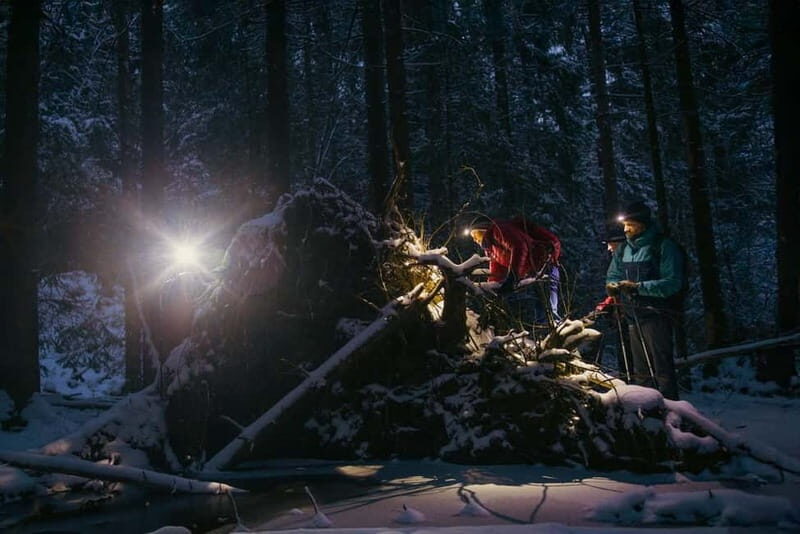 Oslo Forest: Mystery Night Walk with Headlamps - Key Things to Know Before You Go