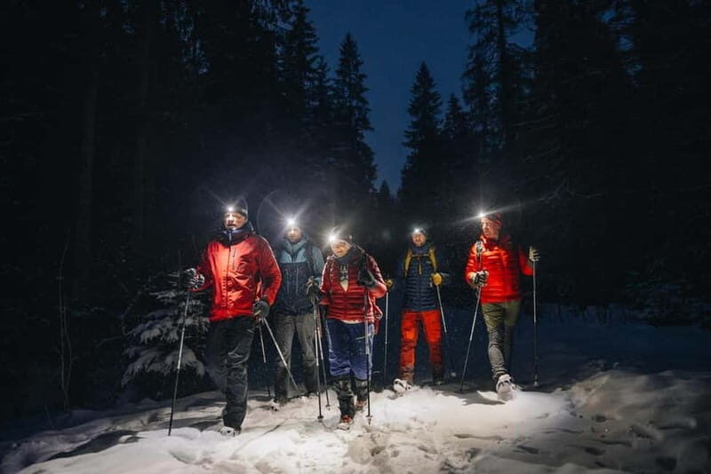 Oslo Forest: Mystery Night Walk with Headlamps - Walking Into the Blue Hour at Backstube Opera