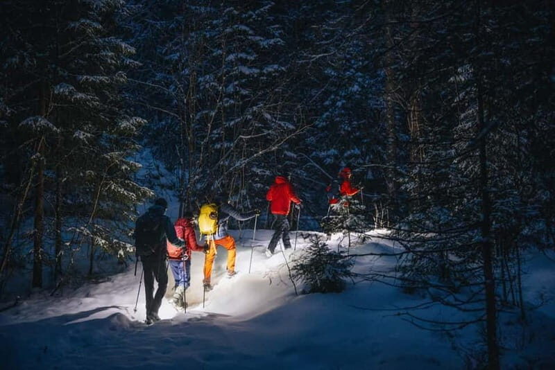 Oslo Forest: Mystery Night Walk with Headlamps - Headlamps, Spikes, and the Winter Trail You Can Actually Enjoy