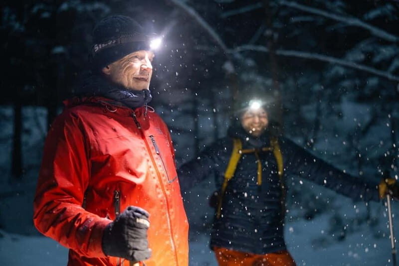 Oslo Forest: Mystery Night Walk with Headlamps - The Campfire Reset: Gløgg, Snacks, and Cold Fingers