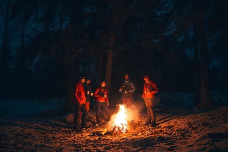 Oslo Forest: Mystery Night Walk with Headlamps - Should You Book This Mystery Night Walk?
