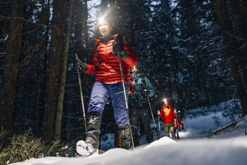 Oslo Forest: Mystery Night Walk with Headlamps - Trains and Timing: Getting to Frognerseteren