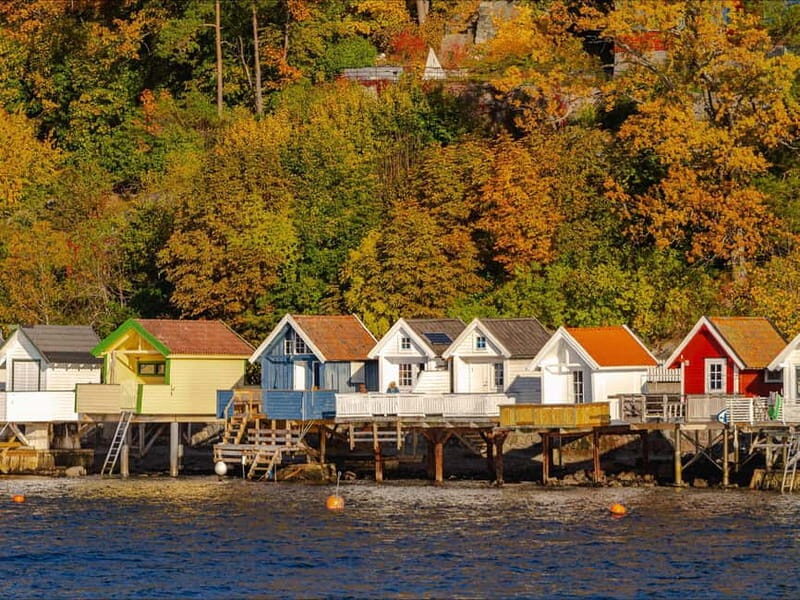 Oslo: Guided Sightseeing Fjord Cruise on Premium Silent Boat - The 2-hour Oslofjord loop: Akershus, the Opera House, and island views