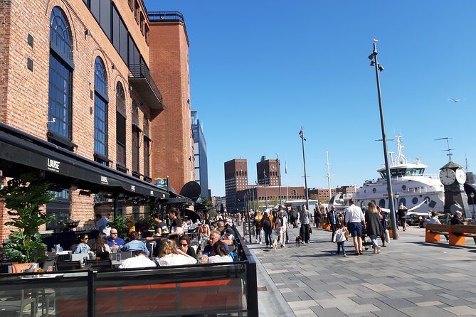 Oslo Highlights. Best Private Walking Tour of Oslo with a Local Guide. - Opera House Viewpoints and the Ibsen Corner of Oslo