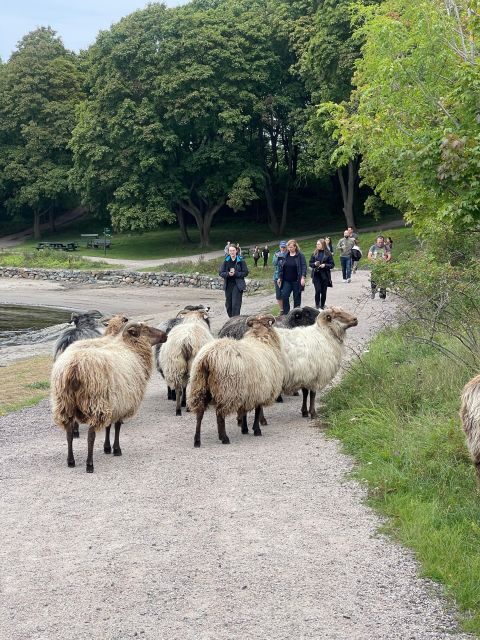 Oslo Island Walks: Island Hopping Tour - Why this island walk beats a city-only day in Oslo