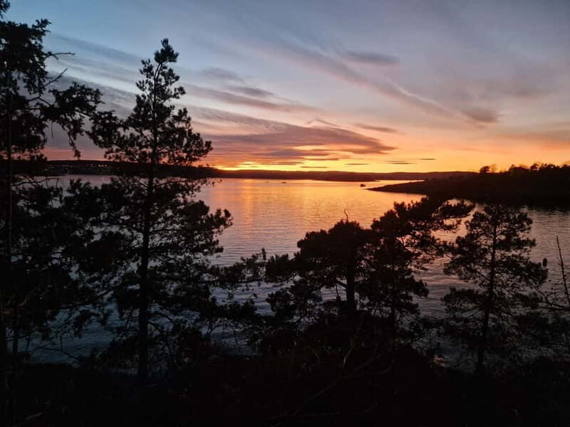 Oslo: Malmøya most beautiful Island Guided Hike-Waffle&Drink - How Challenging Is It, Really? Footwear and Weather Matter