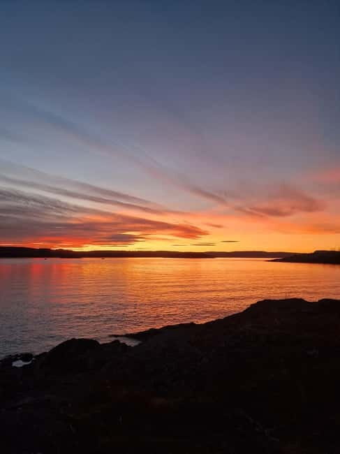 Oslo: Malmøya most beautiful Island Guided Hike-Waffle&Drink - Timing and Meeting Point: The Bus Ride You Shouldn’t Rush