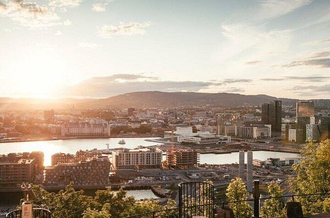 Oslo Must-See Attractions Walking Tour With A Guide - Oslo City Hall and Karl Johan street: landmarks you can spot fast