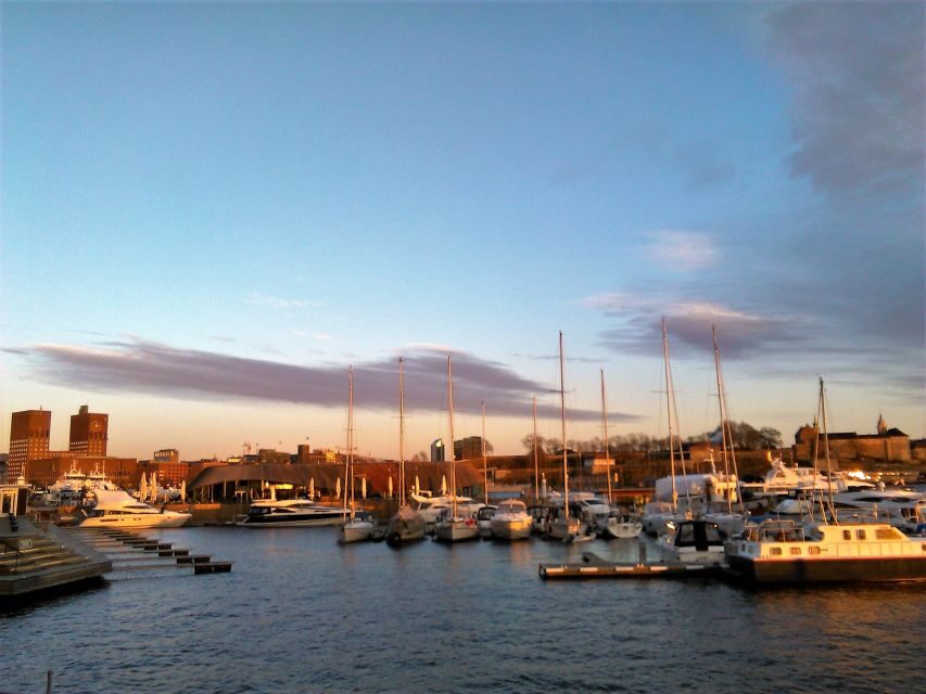 Oslo Nature Walks: Island Hopping Tour - Why Oslo fjord islands feel so close, yet so far