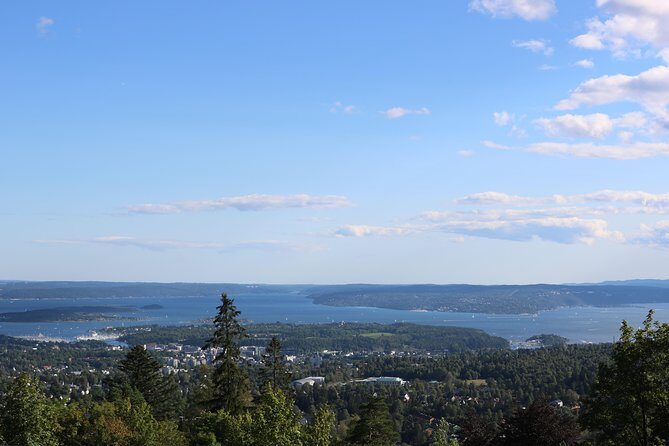 Oslo Panorama Tour with Holmenkollen Ski Jump and Vigeland Park - Vigeland Park: 200+ sculptures, the Monolith, and that angry London boy