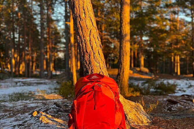 Oslo: Panoramic Fjord Hike Lead by a Local Guide and Dog - The winter trail: easygoing hiking in snow-dusted woodland