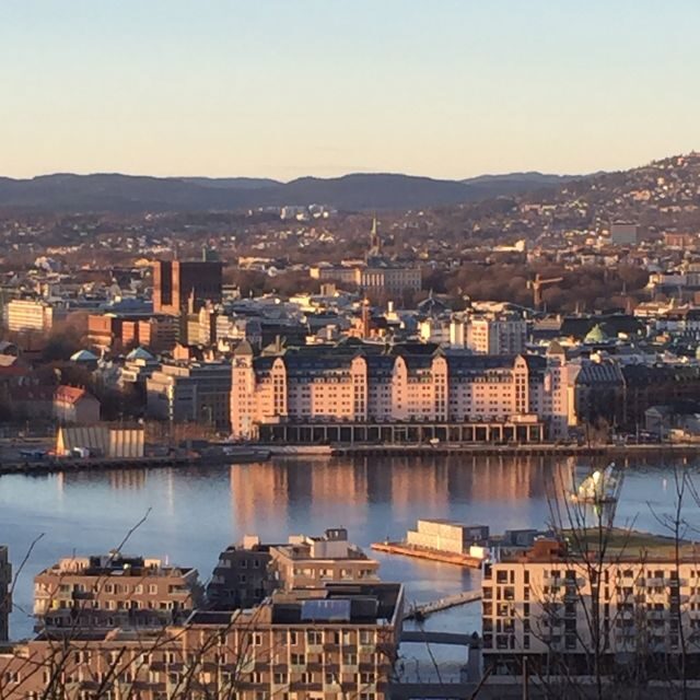 Oslo: Panoramic View and Sculpture Park Walk - What to wear, what to expect on your feet, and how to pace your day
