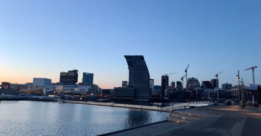 Oslo: Panoramic View and Sculpture Park Walk - How the 3-hour private format keeps you from wasting time