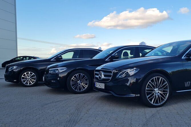 Oslo Private Airport/Hotel Transfer Service || English Speaking - Waiting Time: The Safety Net for Delays and Nervous Flyers