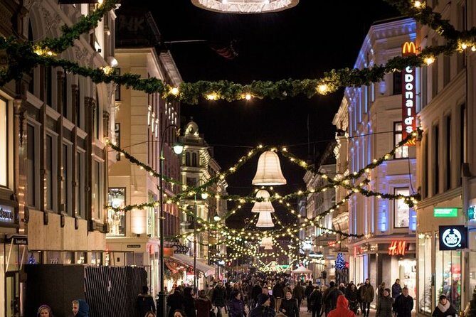 Oslo: Private VIP City Tour by Luxury Minivan with Driver & Guide - Weather readiness: smart casual, umbrella-friendly planning